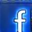 Facebook Swiss Vignette Express